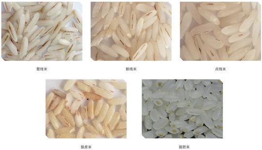 1_ 副本 .jpg