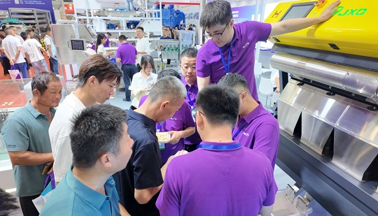 Jiexun ra mắt siêu phẩm phân loại chất lượng đậu phộng sử dụng AI!