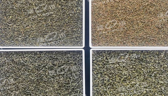 Máy phân loại màu DF cải thiện chất lượng và hiệu quả của trà Xixiang.