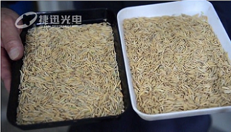 Làm thế nào để giải quyết tỷ lệ chế biến gạo cao đáng ngạc nhiên? --- phần 2