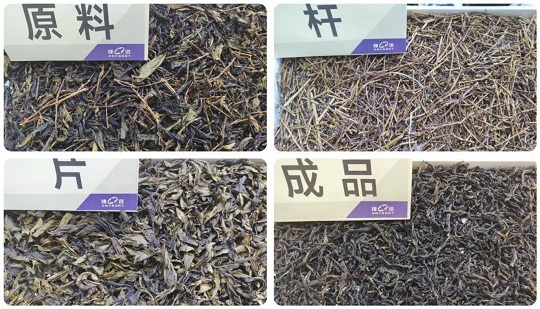 Mẫu máy phân loại màu trà nào thực sự có thể đạt được hiệu suất phân loại “Công suất cao, ít vỡ và sạch một lần”?
        