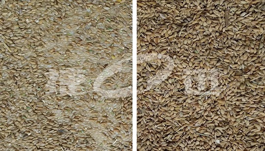 Quá trình phân loại lúa gạo và gạo lứt Anysort được khen ngợi rộng rãi!