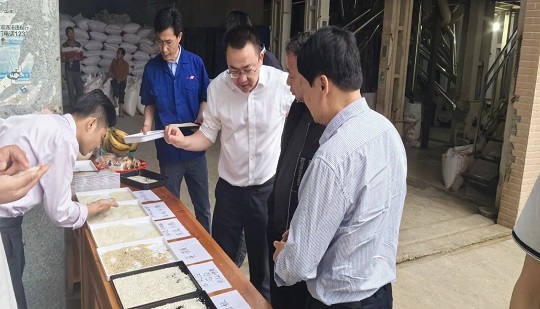 [Địa điểm phân loại chất lượng] Sự kiện trải nghiệm tại chỗ về Phân loại chất lượng gạo dòng PRO Series đã được tổ chức thành công tại Quảng Tây!